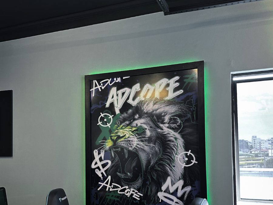 Sala da Adcope com quadro do leão