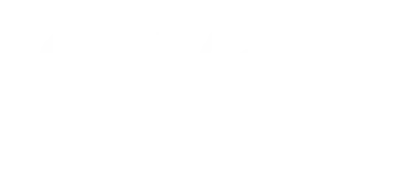 Meta Ads Partner