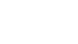 TikTok Partner